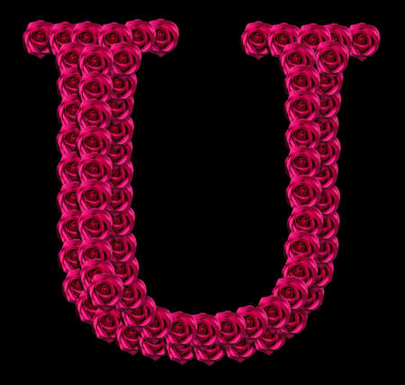 romantic concept image of a capital letter U made of red roses. Isolated on black background. Design element for love or valentines themesの写真素材