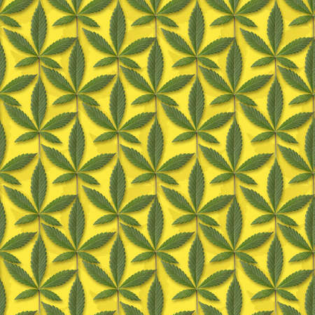 seamless pattern of green fresh cannabis sativa leaves (marijuana) on yellow background. Can be tiledの写真素材