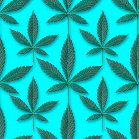 seamless pattern of green fresh cannabis sativa leaves (marijuana) on vintage blue background. Can be tiledの写真素材