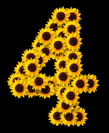 image of number 4 made of yellow sunflowers flowers isolated on black background. Design element for love concepts designs. Ideal for mothers day and spring themesの写真素材