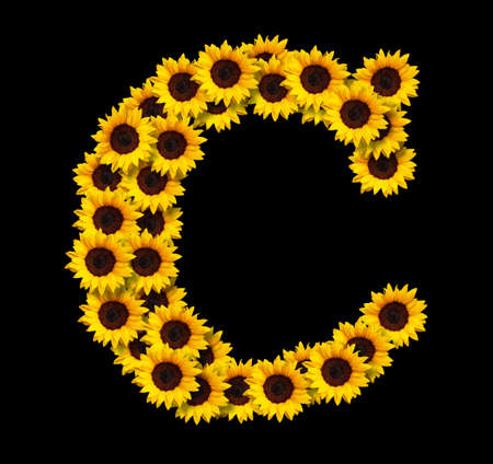 Capital letter C made of yellow sunflowers flowers isolated on black background. Design element for love concepts designs. Ideal for mothers day and spring themesの写真素材