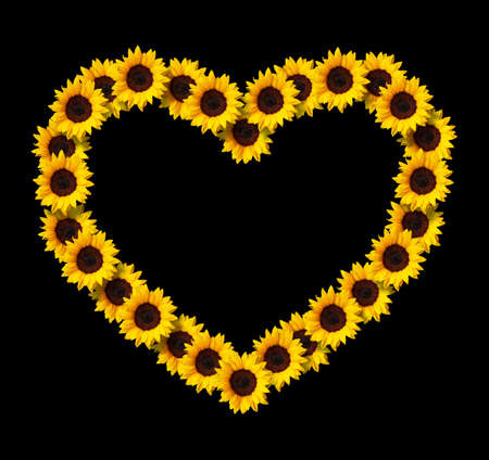 Heart shape frame made of yellow sunflowers flowers isolated on black background. Design element for love concepts designs. Ideal for mothers day and spring themesの写真素材