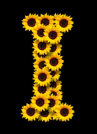 Capital letter I made of yellow sunflowers flowers isolated on black background. Design element for love concepts designs. Ideal for mothers day and spring themesの写真素材