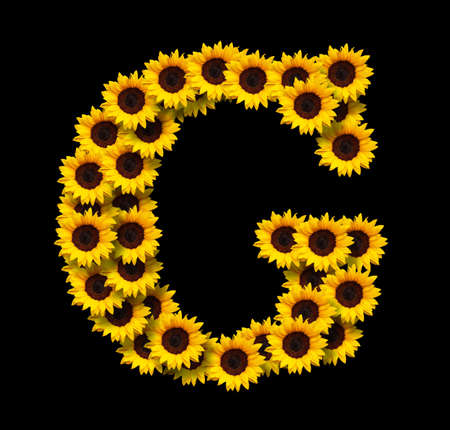 Capital letter G made of yellow sunflowers flowers isolated on black background. Design element for love concepts designs. Ideal for mothers day and spring themesの写真素材