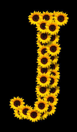Capital letter J made of yellow sunflowers flowers isolated on black background. Design element for love concepts designs. Ideal for mothers day and spring themesの写真素材