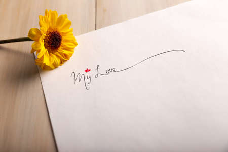 Love letter. white sheet of paper with the phrase "my love" and a yellow flowerの写真素材