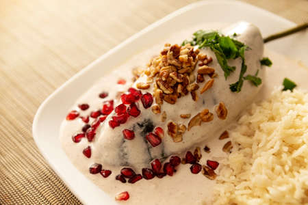Chile en Nogada, Typical dish from Mexico. Prepared with poblano chili stuffed with meat and fruits and covered with a special walnut sauce. Named as the quintessential Mexican dish.の写真素材
