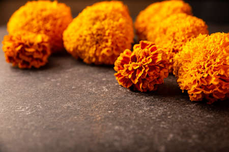 Cempasuchil orange flowers or Marigold. (Tagetes erecta) Traditionally used in altars for the celebration of the day of the dead in Mexicoの写真素材
