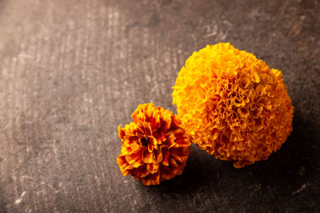 Close up of Cempasuchil orange flowers or Marigold. (Tagetes erecta) Traditionally used in altars for the celebration of the day of the dead in Mexicoの写真素材