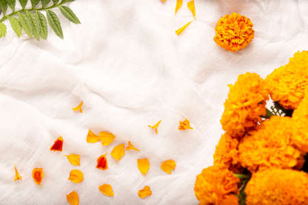Cempasuchil orange flowers or Marigold. (Tagetes erecta) Traditionally used in altars for the celebration of the day of the dead in Mexicoの写真素材