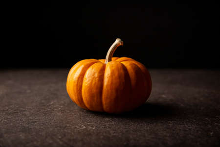Small orange pumpkin with black background. Pumpkins are widely grown for commercial use and as food, aesthetics, and recreational purposes. Much consumed on Thanksgiving Day and Halloween decorationの写真素材