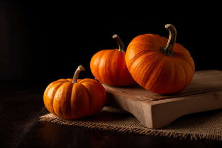 Pumpkins on rustic wooden table. Pumpkins are widely grown for commercial use and as food, aesthetics, and recreational purposes. Much consumed on Thanksgiving Day and Halloween decorationの写真素材