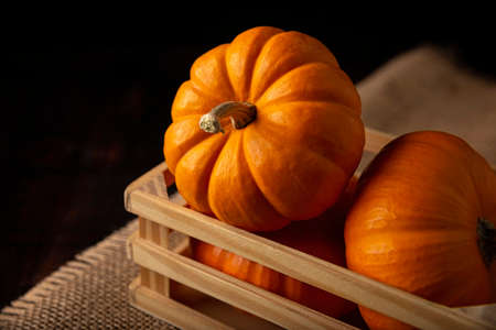 Pumpkins in a rustic box. Pumpkins are widely grown for commercial use and as food, aesthetics, and recreational purposes. Much consumed on Thanksgiving Day and Halloween decorationの写真素材