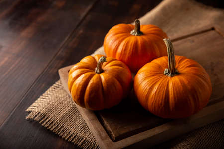 Pumpkins on rustic wooden table. Pumpkins are widely grown for commercial use and as food, aesthetics, and recreational purposes. Much consumed on Thanksgiving Day and Halloween decorationの写真素材