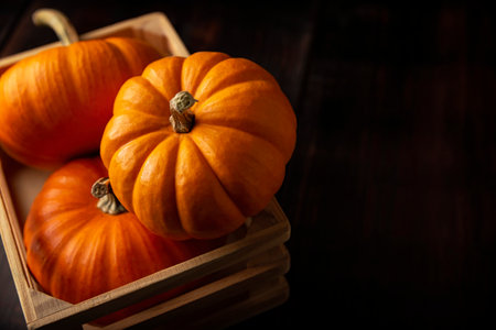 Little Pumpkins in a rustic box. Pumpkins are widely grown for commercial use and as food, aesthetics, and recreational purposes. Much consumed on Thanksgiving Day and Halloween decorationの写真素材
