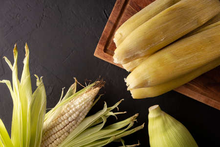 Tamales de Elote, also called Uchepos. Typical Mexican dish. Can be served with green salsa and accompanied by sour cream or served as a dessert covered with caramel or any other sweet toppingの写真素材