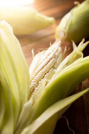 Close up image of raw white corn on the cob on wooden rustic surface. Copyspace.の写真素材