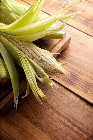 Close up image of raw white corn on the cob on wooden rustic surface. Top view with copy space.の写真素材
