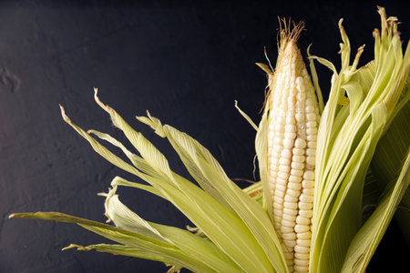 Top View Image of raw white corn on the cob on black rustic surface. copyspace. close up. Flat lay.の写真素材