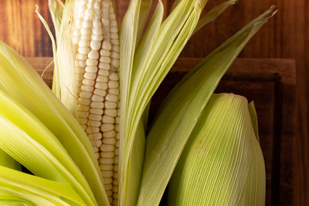 Close up image of raw white corn on the cob on wooden rustic surface. Top view with copy space.の写真素材