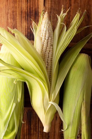 Close up image of raw white corn on the cob on wooden rustic surface.の写真素材