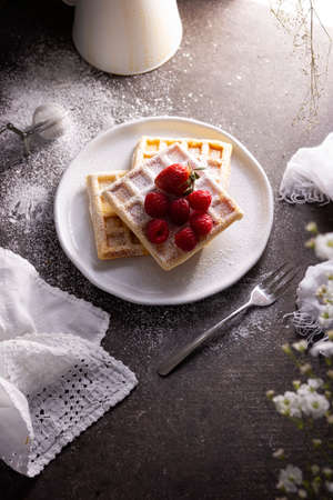 Homemade waffles with strawberries, raspberries and powdered sugar on white dish. top viewの写真素材