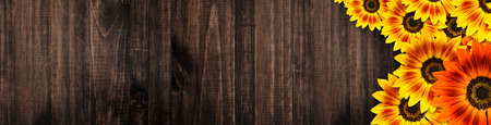 Sunflowers (Duarf Music Bos Sunfloer) panoramic banner frame design with copy space on rustic wooden backgroundの写真素材