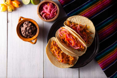 Cochinita Pibil Tacos. Typical Mexican stew from Yucatan, made from pork marinated with achiote and generally accompanied with beans and red onion with habanero chiliの写真素材