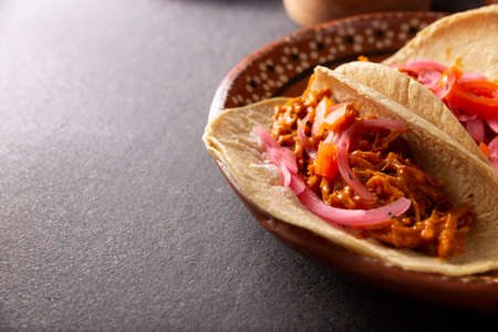 Cochinita Pibil Tacos. Typical Mexican stew from Yucatan, made from pork marinated with achiote and generally accompanied with beans and red onion with habanero chiliの写真素材