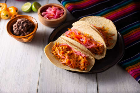 Cochinita Pibil Tacos. Typical Mexican stew from Yucatan, made from pork marinated with achiote and generally accompanied with beans and red onion with habanero chiliの写真素材