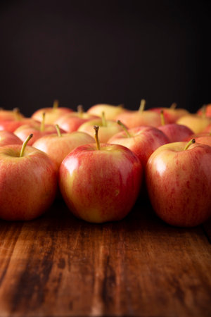 Several Royal Gala Apples (malus domestica). Apple trees are cultivated worldwide and are the most widely used species of the genus Malus.の写真素材