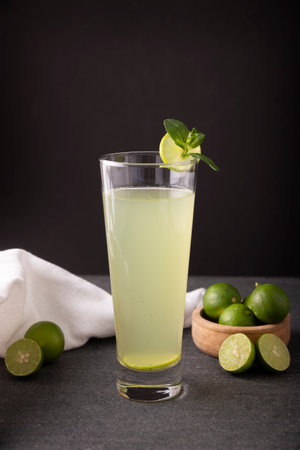 Homemade lemonade with organic lemons and mint, a popular refreshing drink in many countries. in Mexico it is part of their traditional Aguas Frescas, where it is called Agua de Limon.の写真素材