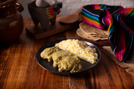 Pipian, also known as Mole Verde, food from Mexico and other Latin American countries, chicken meat bathed in mole sauce made with pumpkin seeds, dried chili peppers and several other ingredients.の写真素材