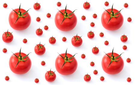 Large and small tomatoesの写真素材