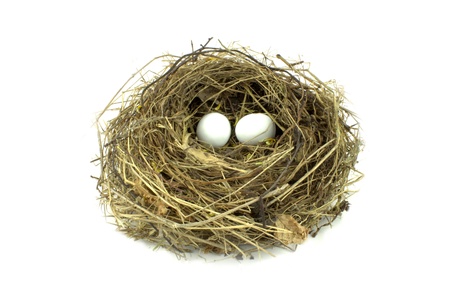 Bird nest and eggs on white backgroundの写真素材
