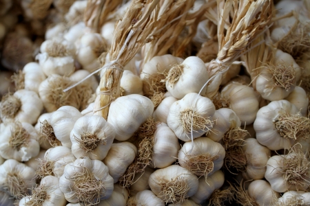Garlic on market stand