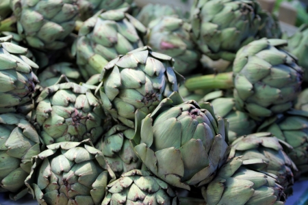 Artichokesの写真素材