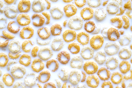 Wheat, rice and corn rings in milk for breakfastの写真素材