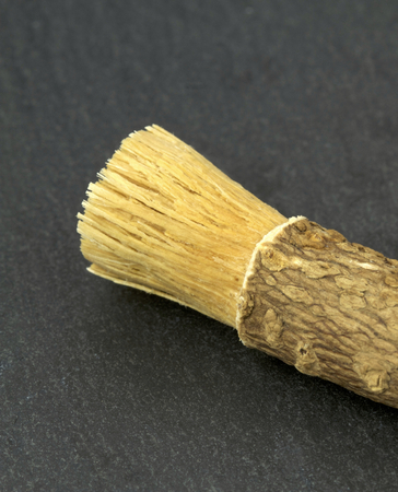 Old islamic traditional natural toothbrush Miswak or Siwak. (Salvadora persica) was used by the Babylonians some 7000 years ago and Greek, Roman empires, and also by ancient Egyptians and Muslims.の写真素材