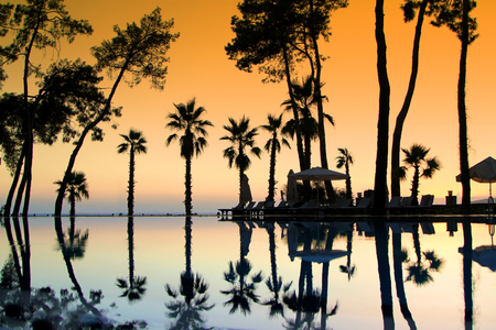 Reflections of trees on pool water with sunset sky. Summer vacations concept image.の写真素材