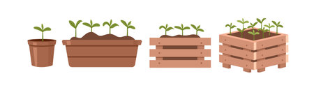 Plant seedlings in pots. Vector illustration of a set of plants.のイラスト素材