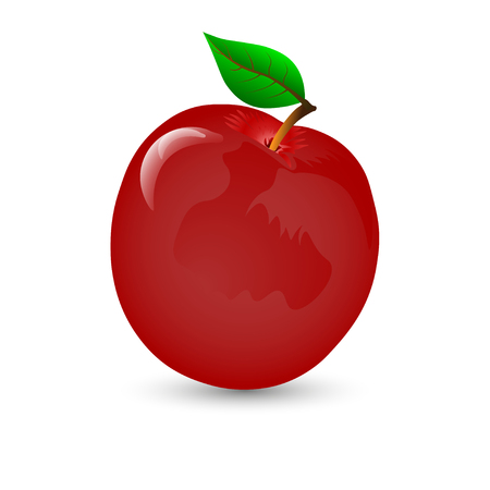 Apple on a white background for illustrations.のイラスト素材
