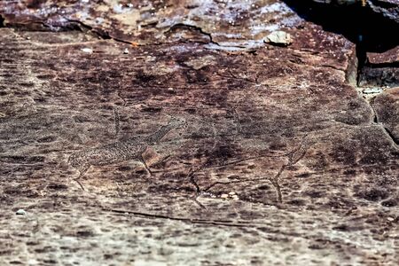 image of the ancient hunt on the wall of the cave ocher. historical art. archeology.の写真素材