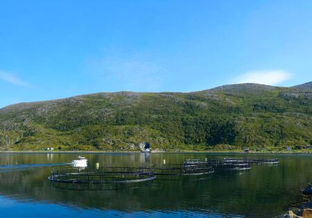 Fish farm cages for growing salmon in the Norwegian sea fjord. a white boat slowly sails past round...