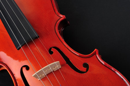Close-up of a violin on black background. Copy space.の写真素材