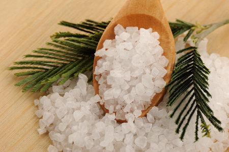 sea salt in a wooden spoon on a background of green spruce branchesの写真素材