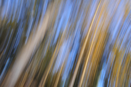 Abstract motion blur effect. Colorful autumn background. long exposure.の写真素材