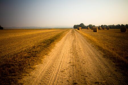 Tiny dusty road in the countryside between fieldsの写真素材