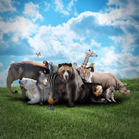 A group of animals are together on a nature background with text area. Animals range from an elephant, zebra, bear and rhino. A group of animals are together on a nature background with text area. Animals range from an elephant, zebra, bear and rhino.