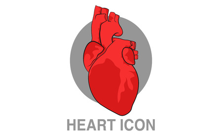 Realistic human heart icon. Clip-art vector illustration.のイラスト素材